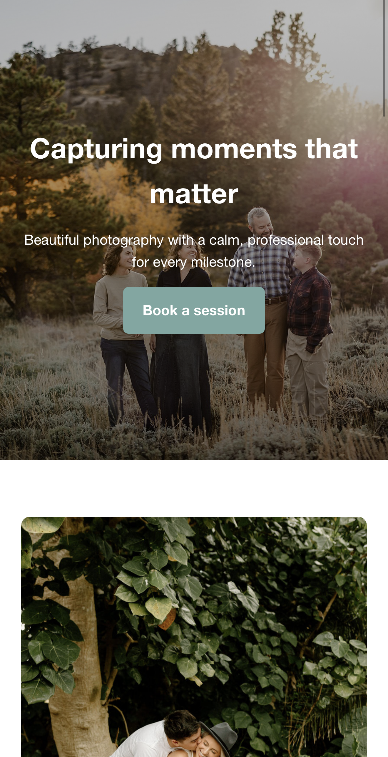 Website example 3